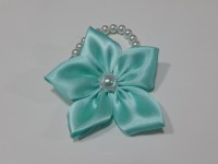 /album/fotogaleria-naramok-aquamarinovy/dscn4861-jpg/