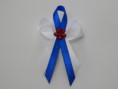 /album/fotogaleria-pierko-bielo-kralovskymodre/dscn3675-jpg/